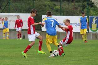 九游娱乐app下载-突尼斯希望进攻套路单一,被对手识破,突尼斯是啥意思