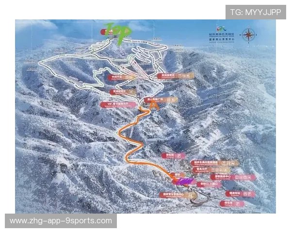 世界高山滑雪季票销售策略与效果分析,高山滑雪排列 世界高山滑雪季票销售策略与效果分析,高山滑雪排列